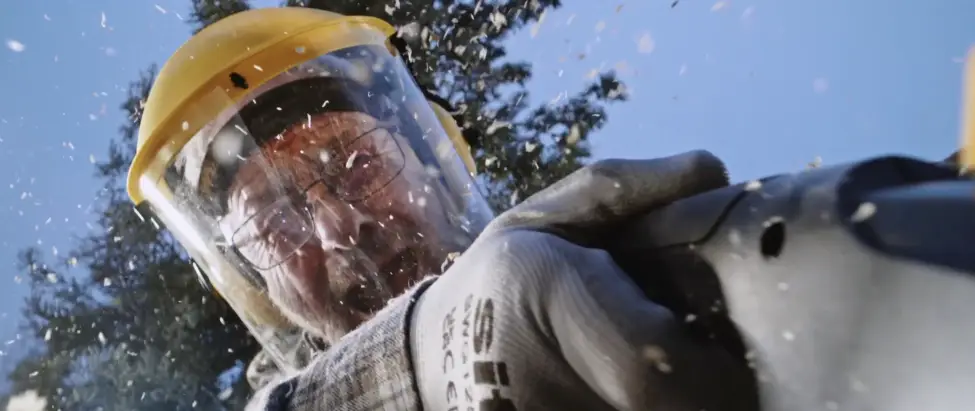 Image Des prix bas et du stock